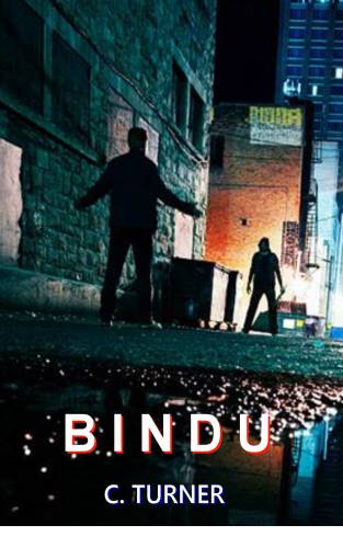 Bindu